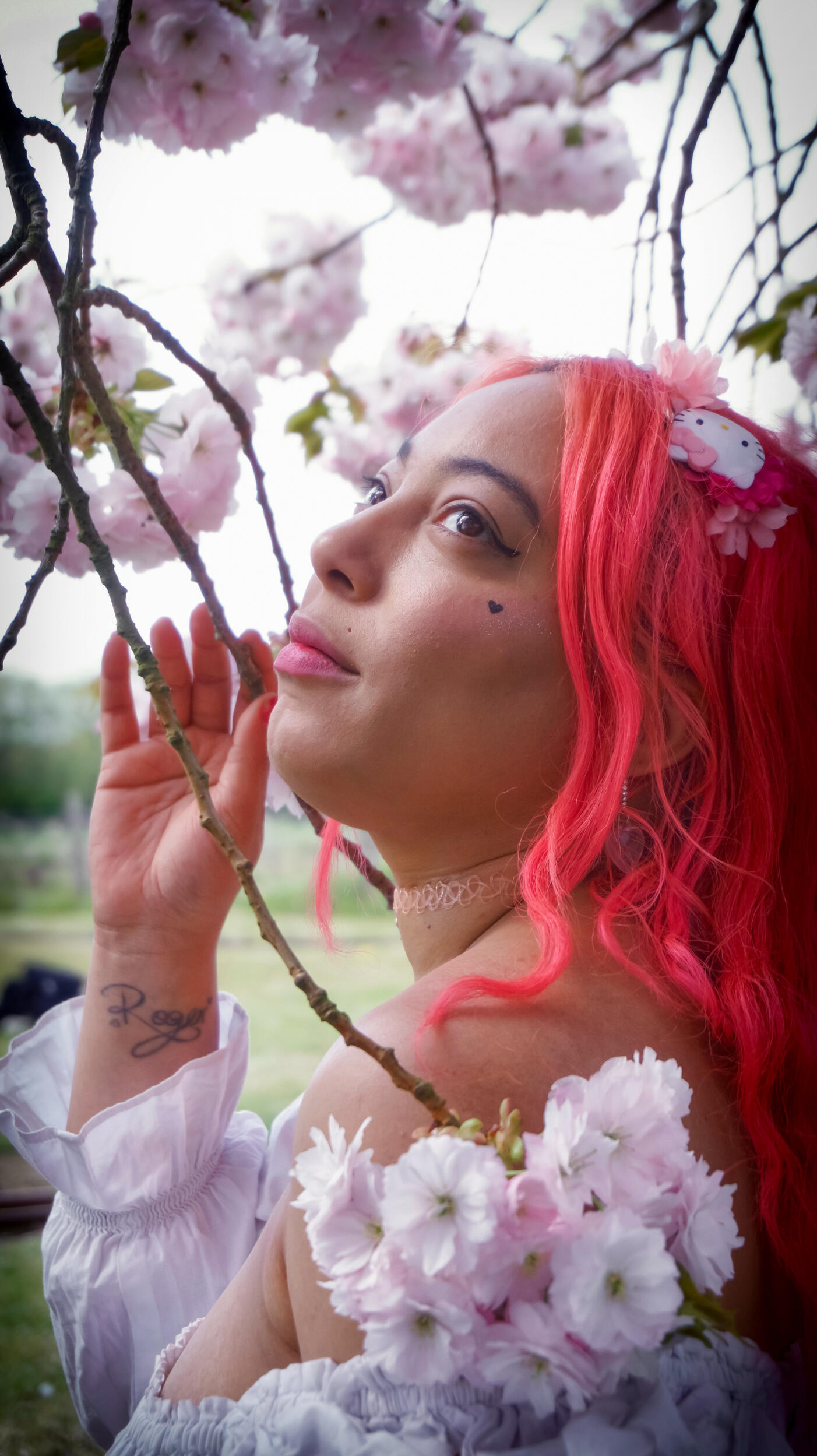 hanami festival brogdale farm kent canterbury